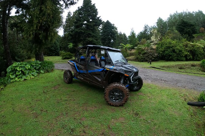 Madeira Private Buggy Adventure: Forest and Mountains - What’s Included: The Stuff That Can Save You Money (and Headaches)