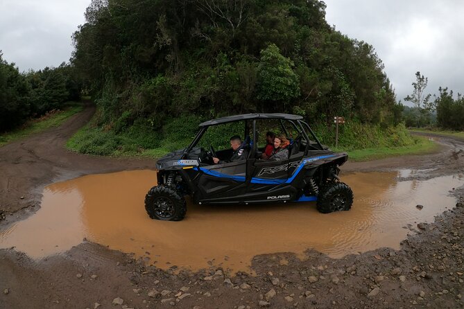 Madeira Private Buggy Adventure: Forest and Mountains - Price and Value: Is $111.02 Worth It?