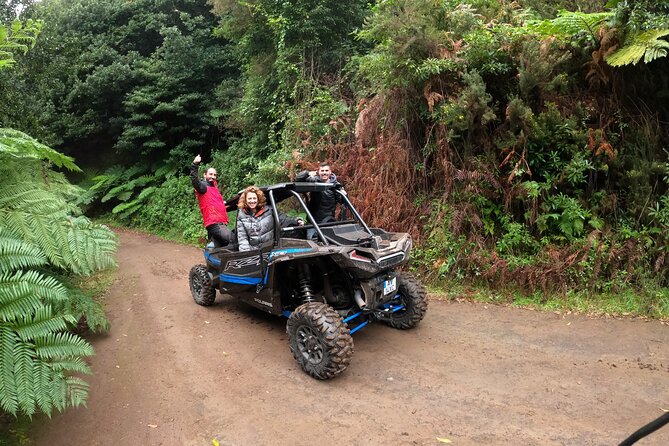 Madeira Private Buggy Adventure: Forest and Mountains - Weather and the Mud Factor: What to Expect When It Rains
