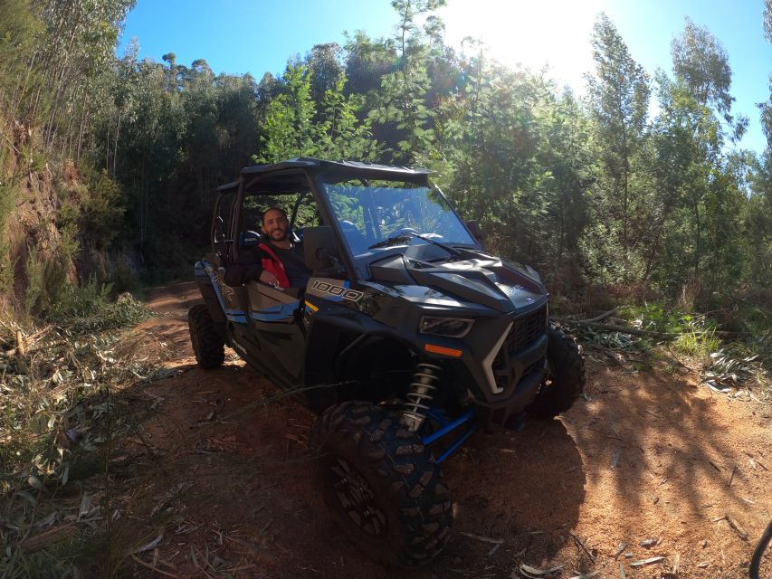 Madeira Private Buggy Adventure: Mountains and Forests - Key things I’d pin to the top