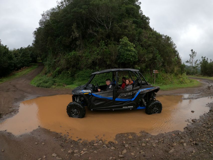 Madeira Private Buggy Adventure: Mountains and Forests - Who this buggy adventure suits best (and who should skip it)