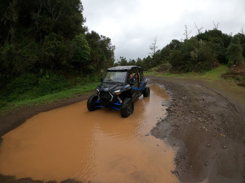 Madeira Private Buggy Adventure: Mountains and Forests - Poiso and Pico do Suna: quick stops that keep the day varied