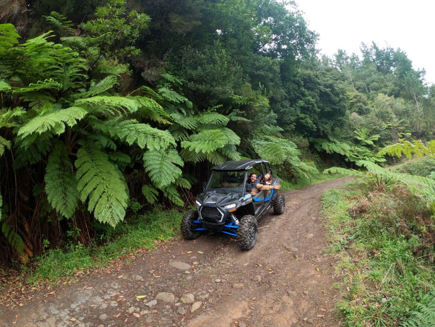 Madeira Private Buggy Adventure: Mountains and Forests - Lamaceiros Lagoon and Portela viewpoint: the moment you look outward