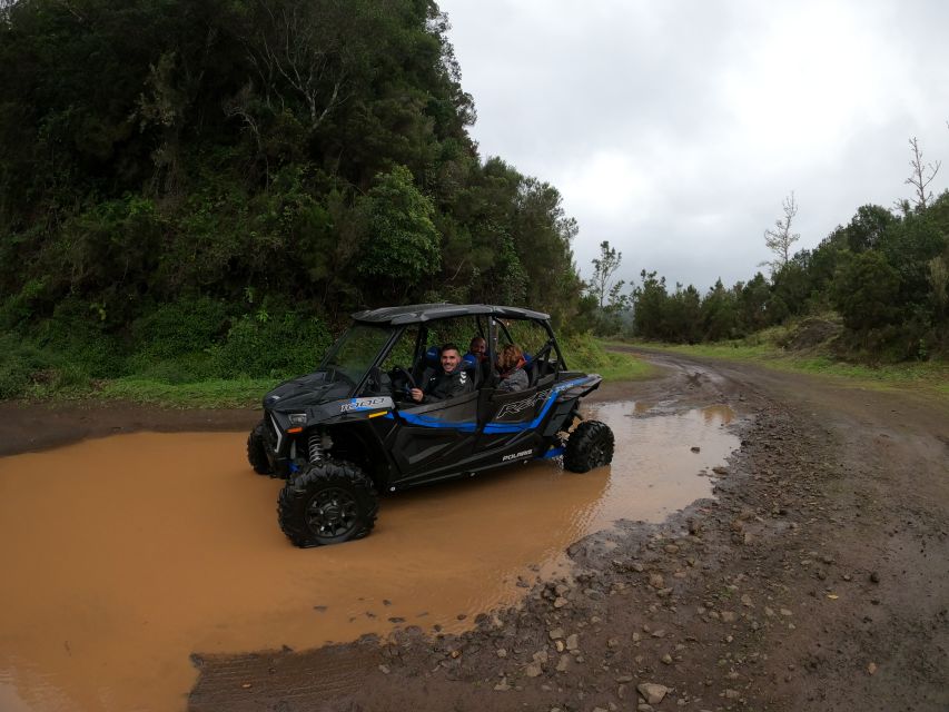 Madeira Private Buggy Adventure: Mountains and Forests - Serra das Funduras road and the Laurissilva Forest trail: where the magic happens
