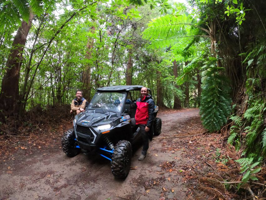 Madeira Private Buggy Adventure: Mountains and Forests - Driving versus riding: the Polaris experience fits both types
