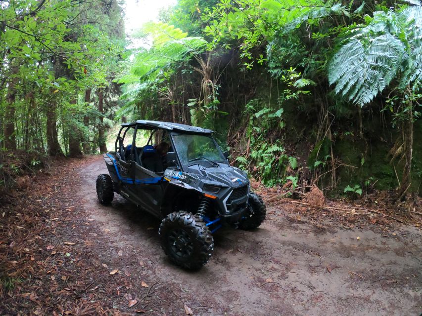 Madeira Private Buggy Adventure: Mountains and Forests - Price and value: why $212 for a private group can make sense