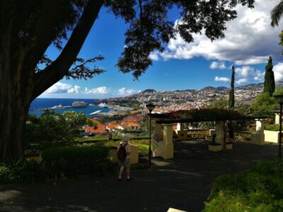 Madeira: Private Funchal City Tour in a Tukxi - The guide experience: stories while you roll, not after you stop