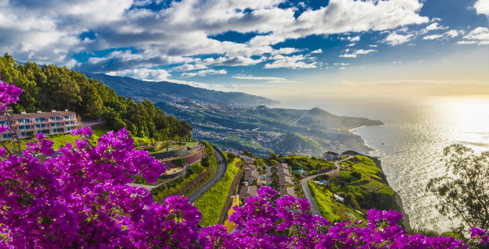 Madeira: Private Guided Cabo Girão Tour - Getting Picked Up in Funchal (or the Harbor) Without Wasted Minutes