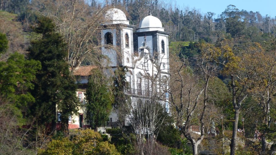 Madeira: Private Monte tour on a Tukxi - Monte: gardens, the Our Lady of Monte church, and quick photo magic