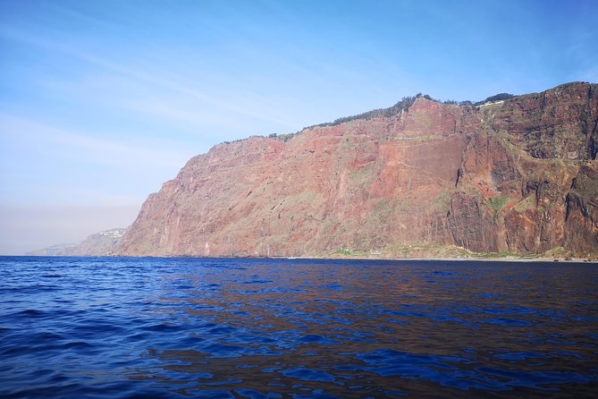 Madeira Private Sunset Boat Tour from Funchal - Passing Funchal’s Oceanfront: Estates, Hotels, and the Coastline You Miss on Foot