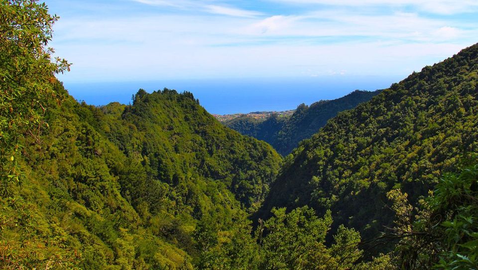 Madeira: Queimadas, Caldeirão Verde and Levada Walk - Key highlights worth marking in your day