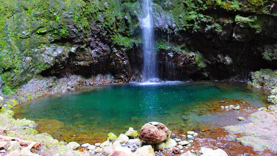 Madeira: Queimadas, Caldeirão Verde and Levada Walk - The Levada da Serra de São Jorge walk: views, tunnels, and that steady “keep going” feeling