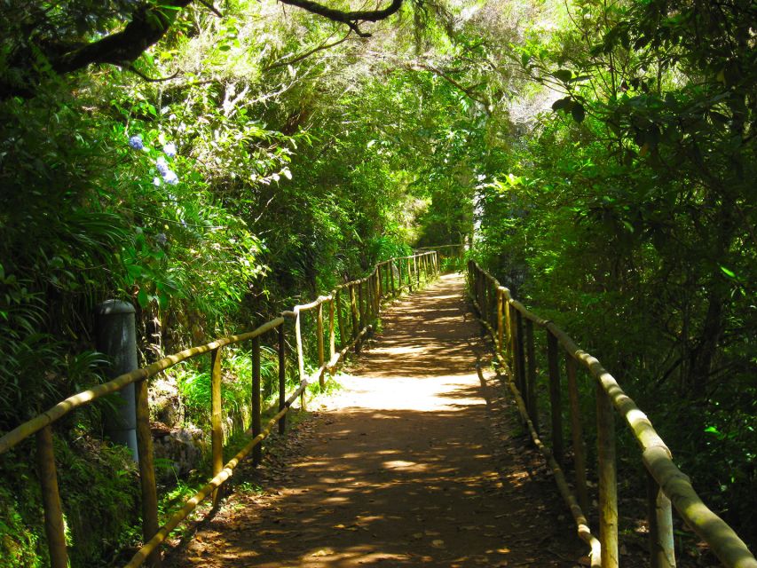 Madeira: Queimadas, Caldeirão Verde and Levada Walk - Caldeirão Verde: the waterfall moment you’ll remember on the drive home
