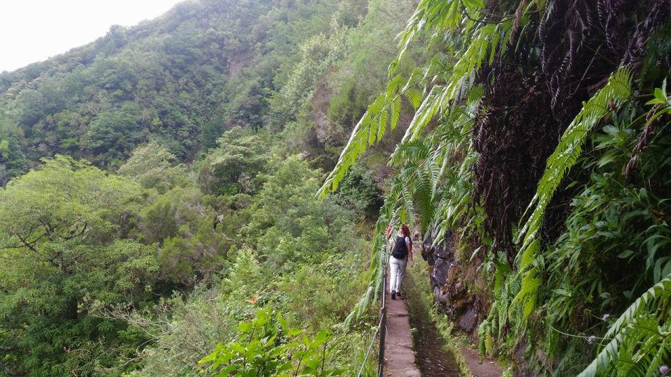 Madeira: Queimadas, Caldeirão Verde and Levada Walk - How the guide improves the hike (Charlotte and the nature-and-plants angle)