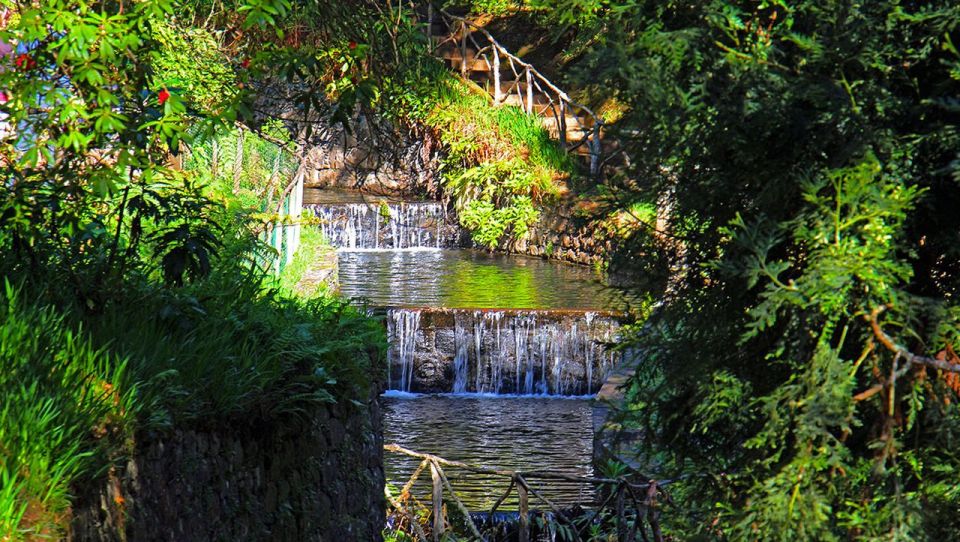 Madeira: Queimadas, Caldeirão Verde and Levada Walk - What to pack and how to stay comfortable on a wet Madeira levada