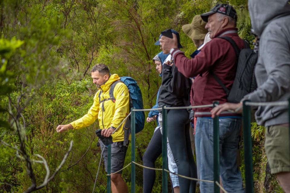 Madeira: Rabaçal 25 Fountains Levada Walk & Cabo Girão - The guide factor: why names like Julia, Gil, Ruben matter