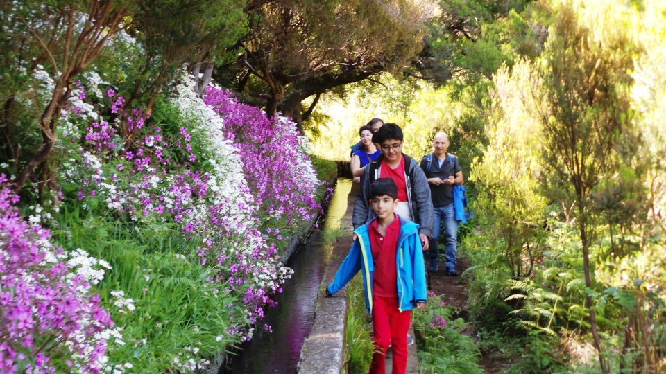 Madeira: Rabaçal 25 Fountains Levada Walk & Cabo Girão - Rabaçal and 25 Fontes: the walk that earns its fame