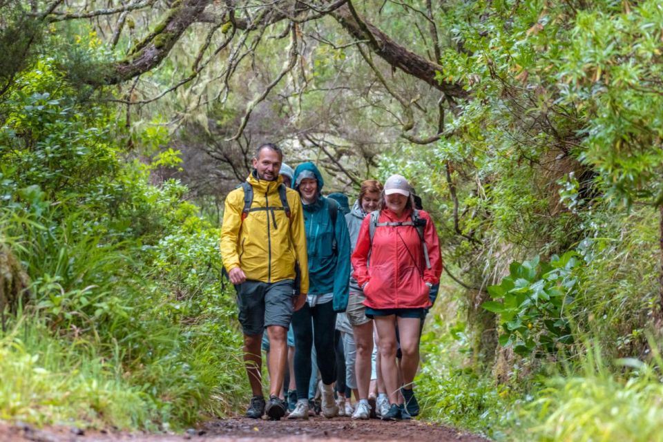 Madeira: Rabaçal 25 Fountains Levada Walk & Cabo Girão - How hard is it really? Pace, shoes, and motion sickness
