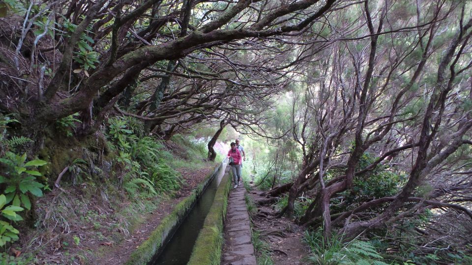Madeira: Rabaçal 25 Fountains Levada Walk & Cabo Girão - Price and value: what $67 buys you (and what it doesn’t)