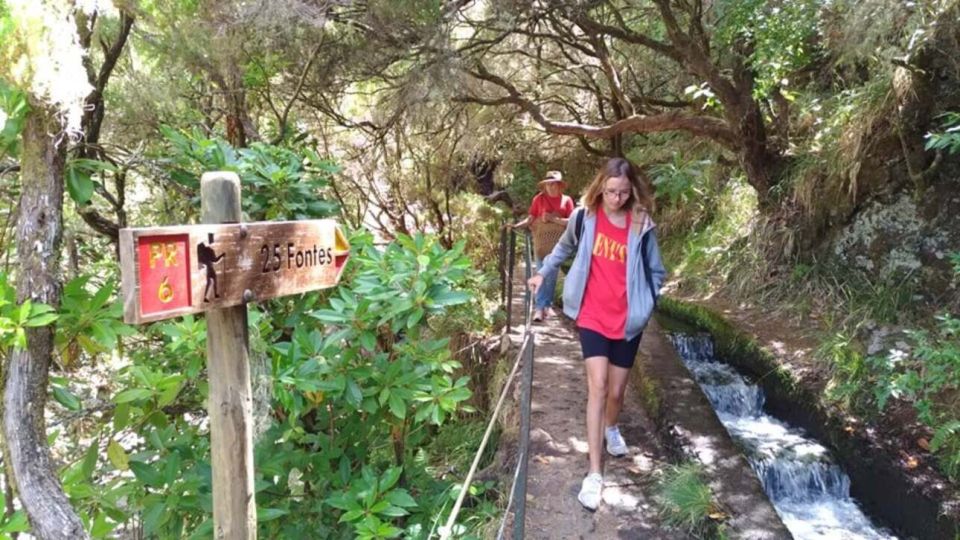 Madeira: Rabaçal, Risco and 25 Fontes Guided Hiking Tour - Rabaçal levadas: why this route feels special on Madeira
