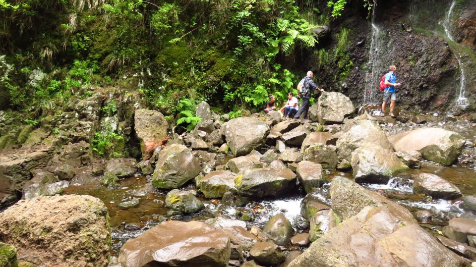 Madeira: Rabaçal, Risco and 25 Fontes Guided Hiking Tour - Switching to Levada Nova do Rabaçal: where the forest story takes over