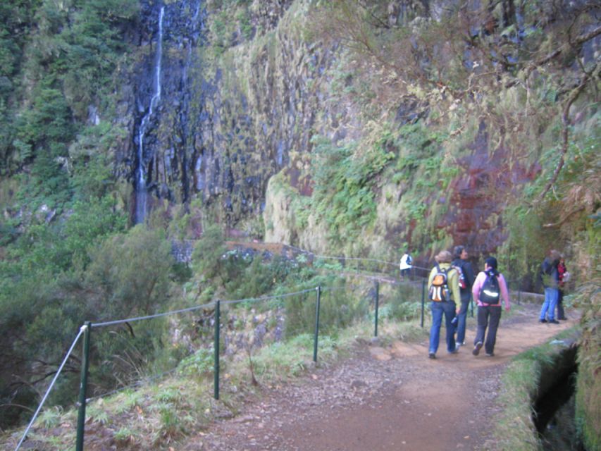 Madeira: Rabaçal, Risco and 25 Fontes Guided Hiking Tour - Small group size and pacing: a value play, not just a perk