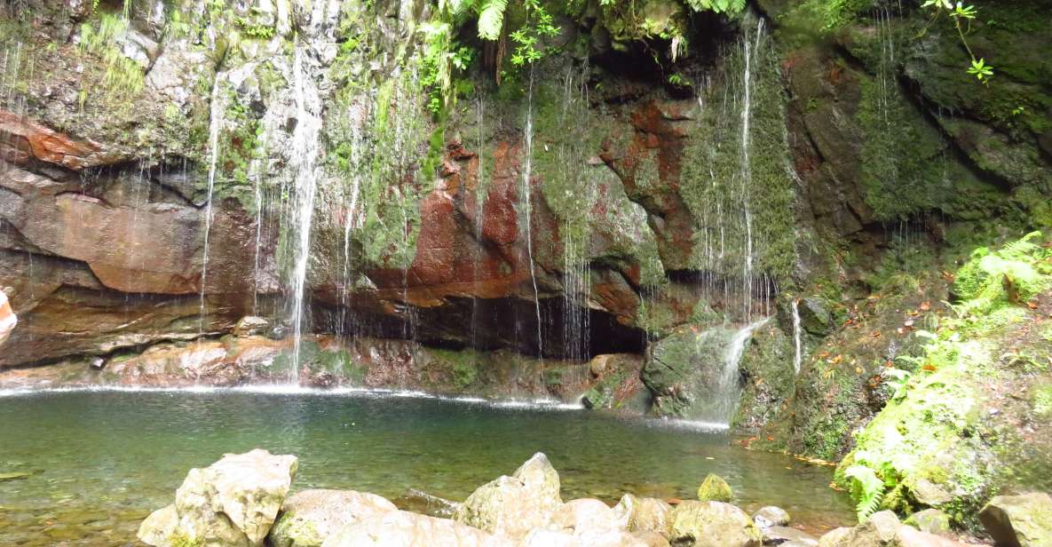 Madeira: Rabaçal, Risco and 25 Fontes Guided Hiking Tour - Starting in Funchal or Caniço and getting to Paúl da Serra