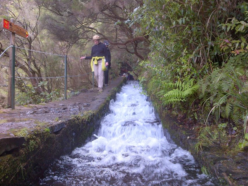 Madeira: Rabaçal Valleys 3-Hour Guided Walk - Quick take: what makes this Rabaçal walk worth your time
