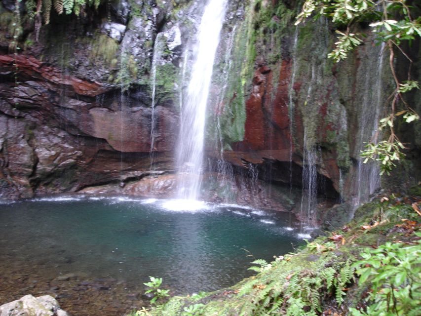 Madeira: Rabaçal Valleys 3-Hour Guided Walk - Why levadas around Rabaçal feel different than normal trails