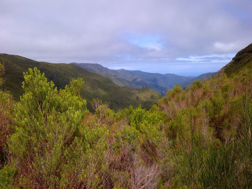 Madeira: Rabaçal Valleys 3-Hour Guided Walk - Waterfalls along the levada: how to time your expectations