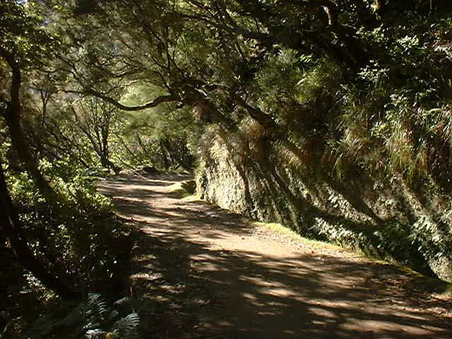 Madeira: Rabaçal Valleys 3-Hour Guided Walk - The walking plan: 10 km total, moderate pace, and a realistic time window