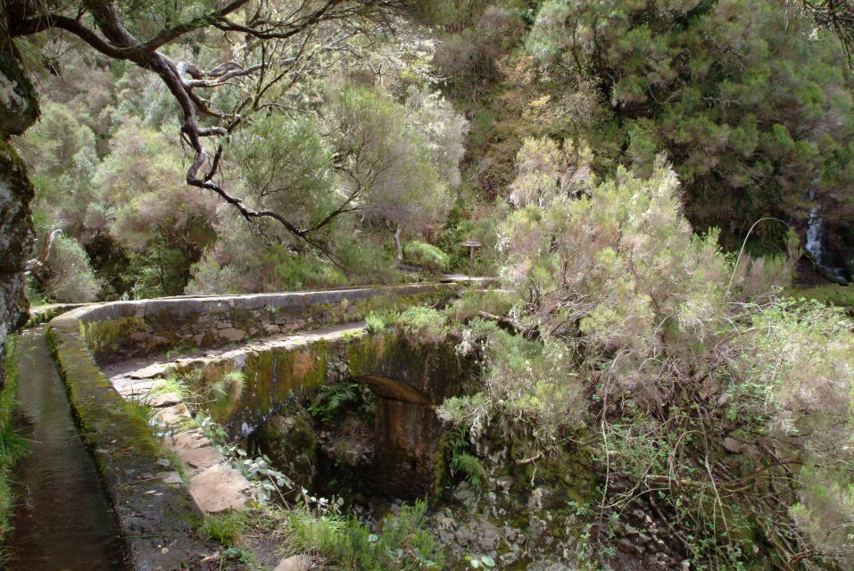 Madeira: Rabaçal Valleys 3-Hour Guided Walk - Price and value: what $48 is really paying for