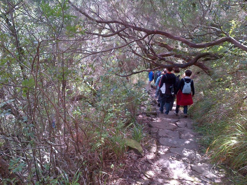 Madeira: Rabaçal Valleys 3-Hour Guided Walk - Should you book this tour?