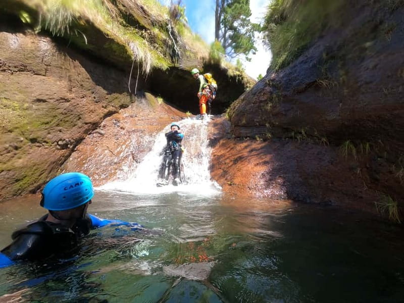 Madeira : Ribeira das Cales Canyoning (Level 1) - Madeira’s Ribeira das Cales Level 1: why this route works for first-timers
