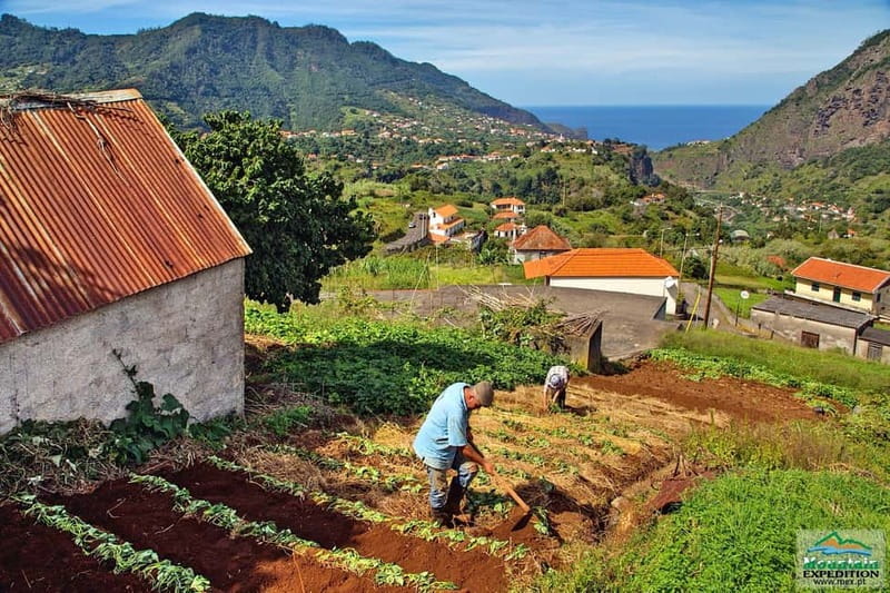 Madeira: Santana Jeep Safari and Balções Levada Walk - Price and Value: Why $71 Can Be a Good Deal (or Not)