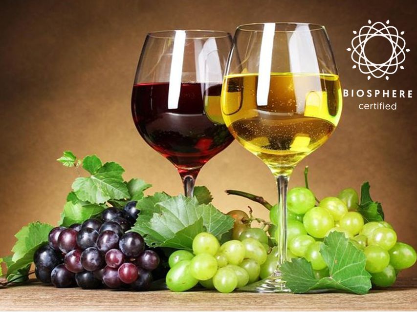 Madeira: Signature Wine Tasting, Skywalk & Nature Expedition - Cabo Girão Skywalk: 580 meters of Atlantic views
