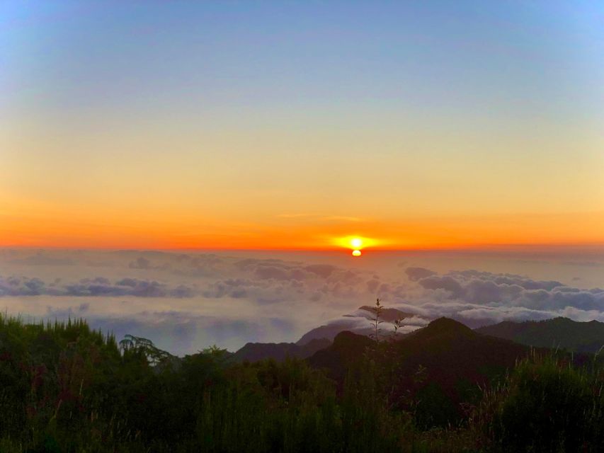 Madeira: Sunrise at Pico do Arieiro & Hike Larano trail - Vehicle comfort and the driving rhythm you feel in the morning
