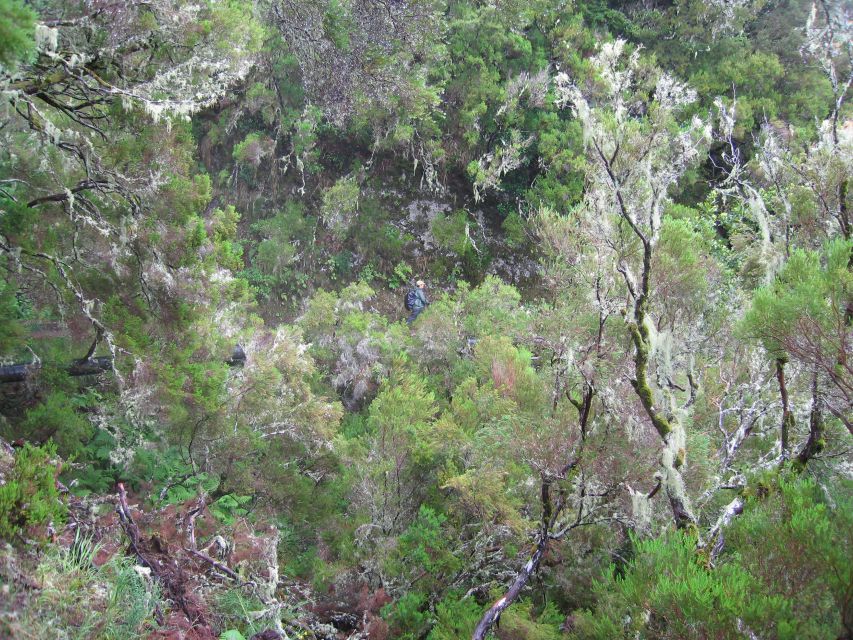 Madeira Walks - Rabaçal and the 25 Fountains - Weather in Madeira: Rain Can Be Part of the Plan