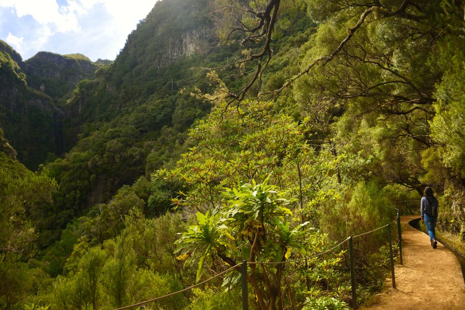 Madeira Walks - Rabaçal and the 25 Fountains - Getting There From Funchal: Pickup, Ride Comfort, and Timing That Works
