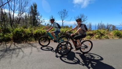 Madeira West coast: Guided Sightseeing E-Bike Tour - E-Bikes That Earn Their Keep on Madeira’s Hills