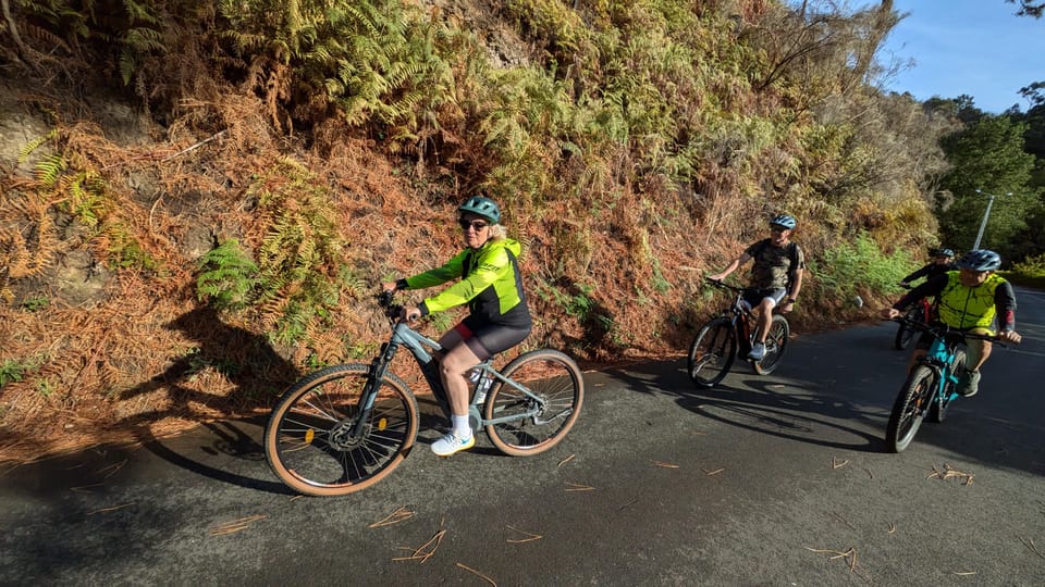 Madeira West coast: Guided Sightseeing E-Bike Tour - Price and Timing: Is $76 Good Value?