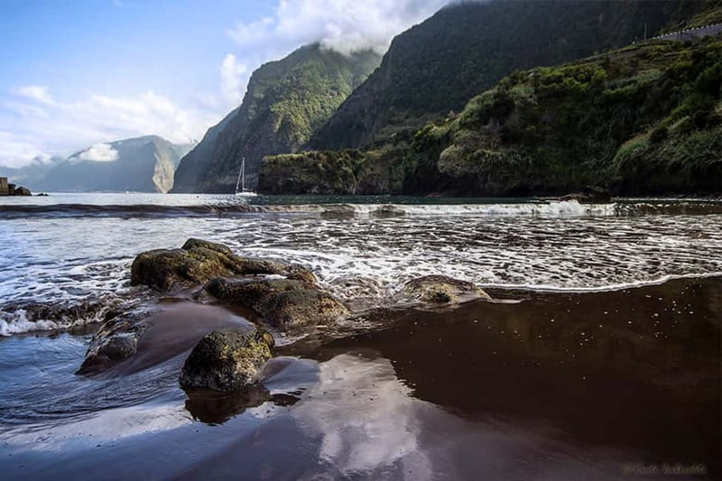Madeira West Island Full-Day Tour with Fanal Forest - How the day flows: 8 hours of West Island highlights