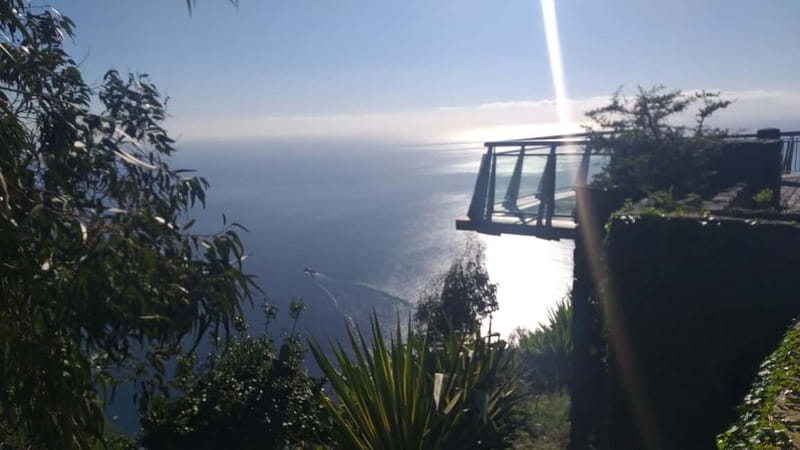 Madeira West Island Full-Day Tour with Fanal Forest - Lunch that’s actually part of the value