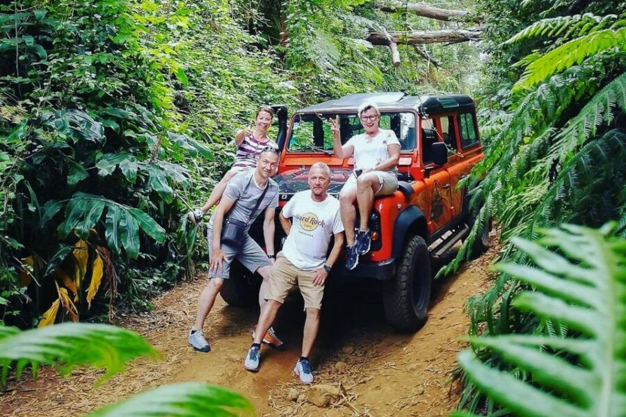 Madeira: West Side Jeep Tour with Natural Pools - Why This West Madeira Jeep Day Makes Sense
