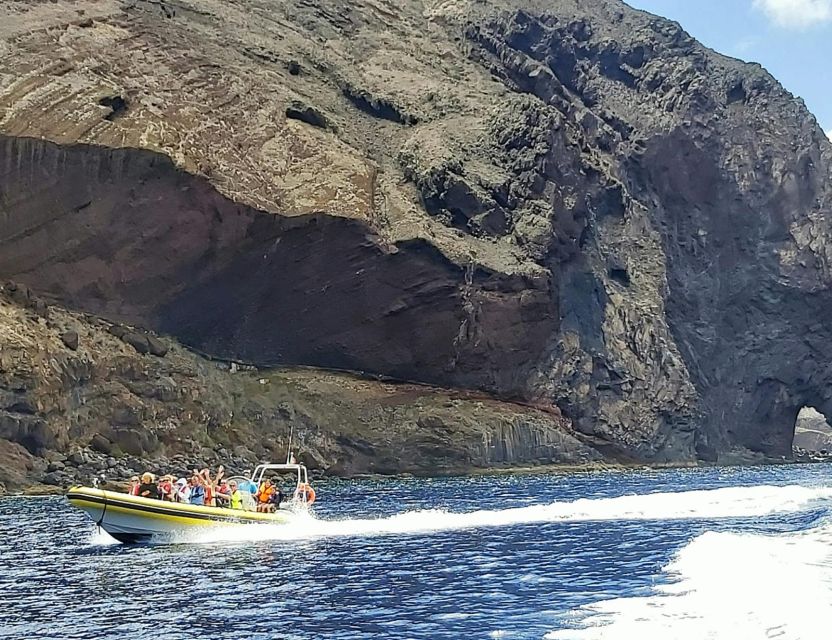 Madeira: Whale and Dolphin Watching Tour - Onboard marine biologist guide: how the commentary adds real value