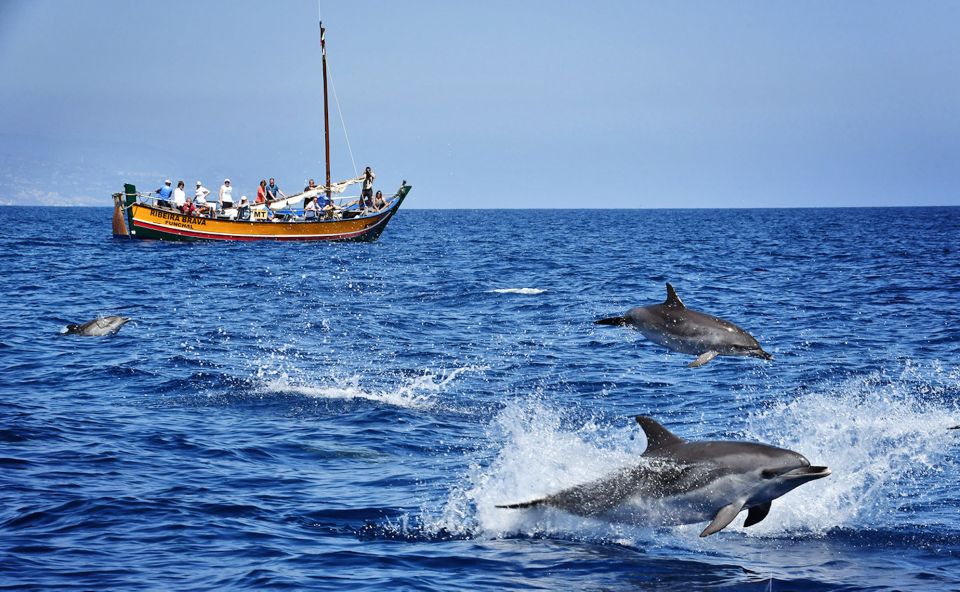 Madeira: Whale Watching Excursion in a Traditional Vessel - Ribeira Brava: why this boat makes the whole trip feel right