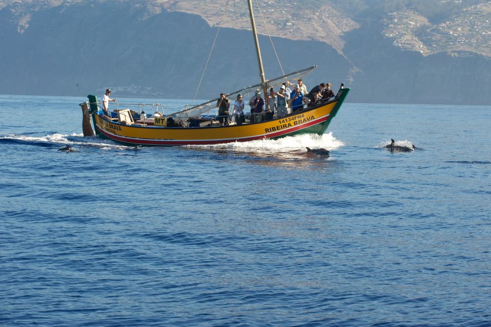 Madeira: Whale Watching Excursion in a Traditional Vessel - From marina to protected waters: how the 2.5 hours plays out
