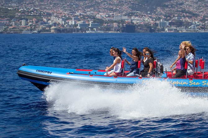 Magic Dolphin Sea Safaris - Key highlights you’ll feel on the water