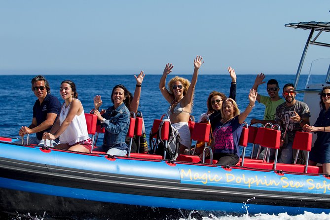 Magic Dolphin Sea Safaris - What You’ll See Offshore Around Madeira (and What’s Realistic)