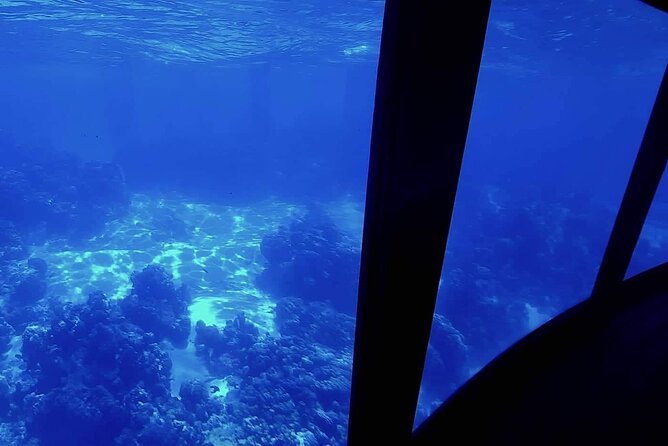 Magical Boat Tour with Underwater Cabin in Bora Bora! - Key things you’ll notice on this Bora Bora underwater cabin tour